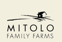 Kit Farm Staff YELLOWNAVY ONLY