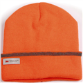 Beanie Thinsulated Cuff One Size