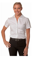 Shirt BENCHMARK Ladies Self Stripe Short Sleeve Shirt