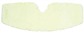 Lens Clear Anti Fog Both Sides Replacement for Goggle 9301624