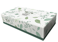 Tissues Facial 100 Sheets per Packet 48 Packs per Carton
