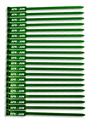 Tag GREEN Sling and Rope Tags APRJUN  Pack 100