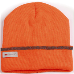 Beanie Thinsulated Cuff One Size
