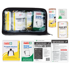 Snake Bites and Insect Stings First Aid Module