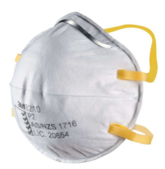 Respirator P2 Disposable   Box 20 