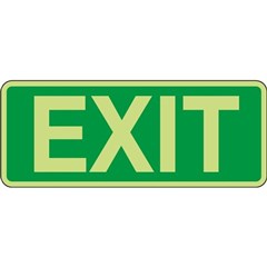 Sign Poly  350 x 145mm Luminous EXIT